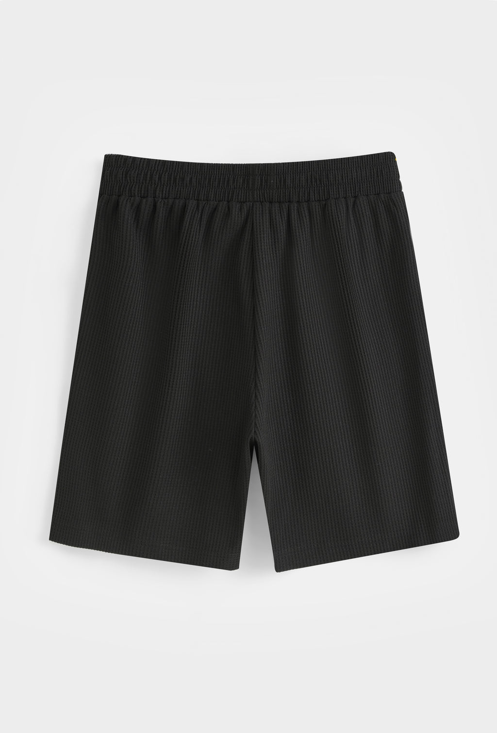 Summer Set Polo + Shorts
