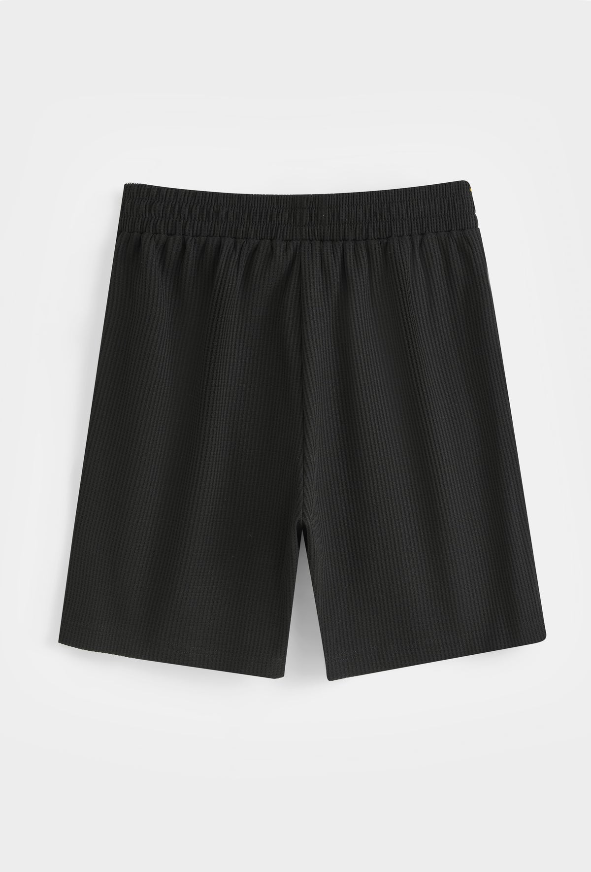 Summer Set Polo + Shorts